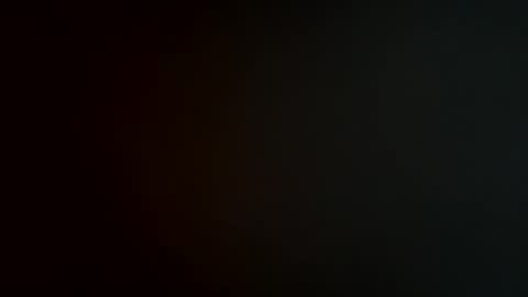 MrNinja online show from 13, 12, 2024