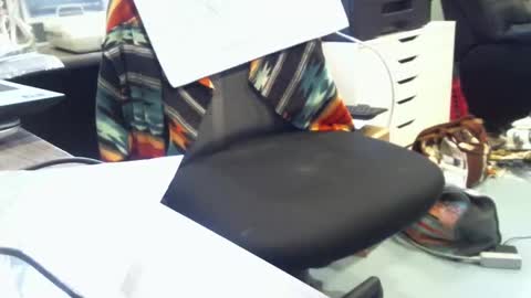 mroldred online show from 23, 2, 2026