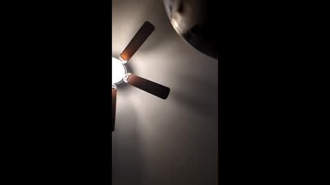 mrorange50187 online show from 22, 12, 2024