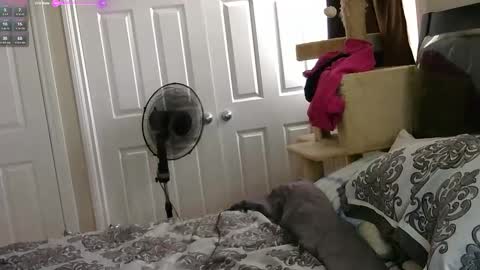 MrsJess online show from 17, 11, 2025