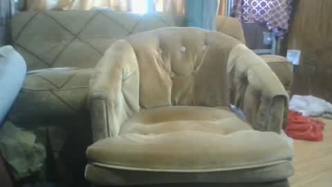 mrstergreen9 online show from 5, 10, 2025