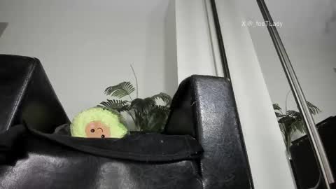 Snapshot of ms_enigma chatting on 28, 2, 2026 Goddess. Miss. Lady. Queen. Madam Milady online show from 28, 2, 2026