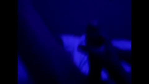 mt220 online show from 16, 12, 2024