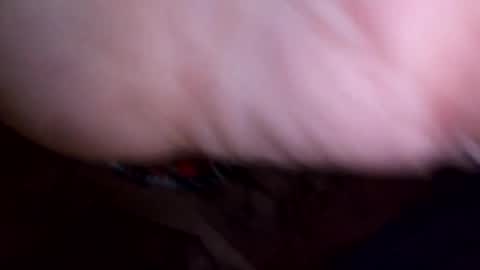 mtnclimber1 online show from 21, 4, 2026