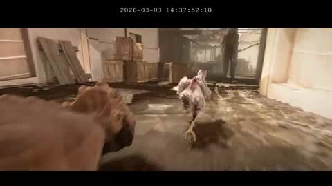 multitest101 online show from 3, 3, 2026