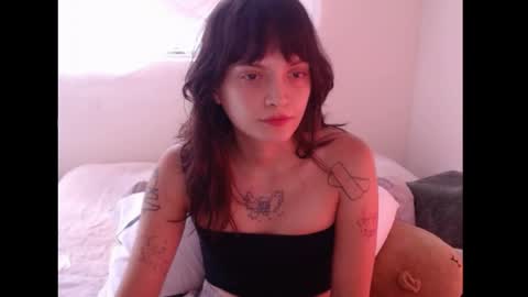   online show from 7, 4, 2026