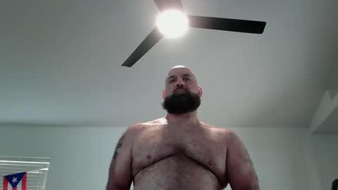 Bearded online show from 11, 5, 2026