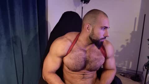 Musculus online show from 17, 10, 2025