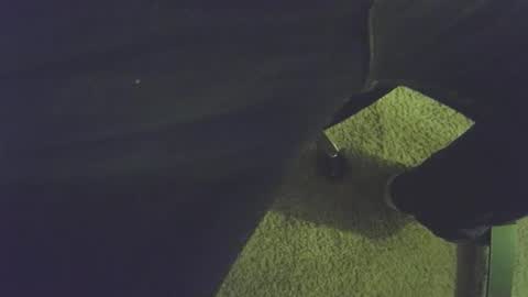 musicman2021 online show from 4, 4, 2026