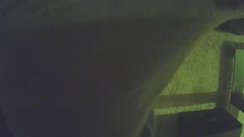 musicman2021 online show from 5, 4, 2026