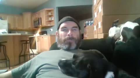 vienna online show from 3, 10, 2025