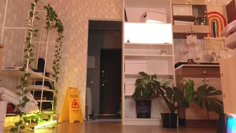  MIA  I will be here Monday Wednesday Thursday Saturday online show from 12, 1, 2025