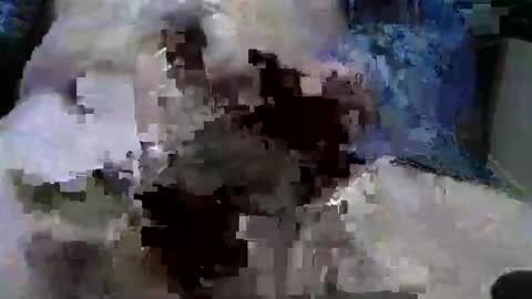 Snapshot of mycock594498 chatting on 9, 1, 2025 mycock594498 online show from 9, 1, 2025