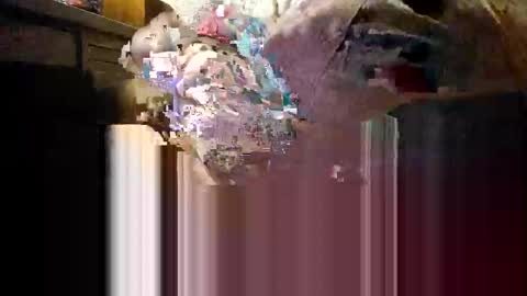 Mmmm Feels Great online show from 4, 12, 2025