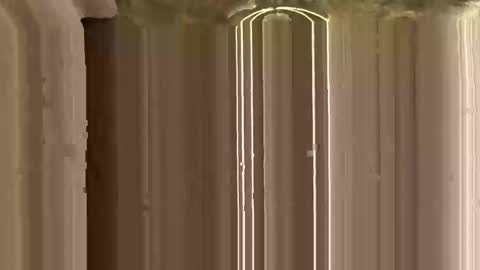 Ricky online show from 12, 11, 2025