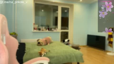 Snapshot of na_prikole_ chatting on 24, 10, 2025 Vanessa and Julia  online show from 24, 10, 2025