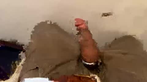 nairda2senoniuq online show from 8, 3, 2025