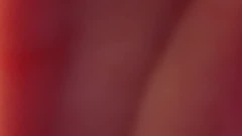 Nancy and Archi online show from 12, 12, 2024