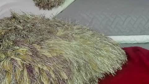 Snapshot of naomy_smithx chatting on 13, 12, 2024 Naomy Smith online show from 13, 12, 2024