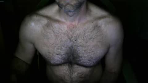 nardo74 online show from 24, 3, 2026