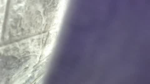 natalieevansx online show from 16, 11, 2025