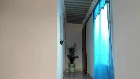 nat online show from 24, 1, 2025