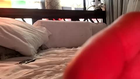 Haven online show from 3, 2, 2025