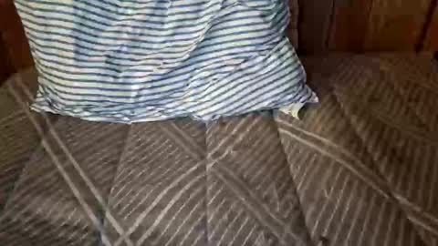 Snapshot of nativejoker_1995 chatting on 4, 10, 2025 nativejoker_1995 online show from 4, 10, 2025