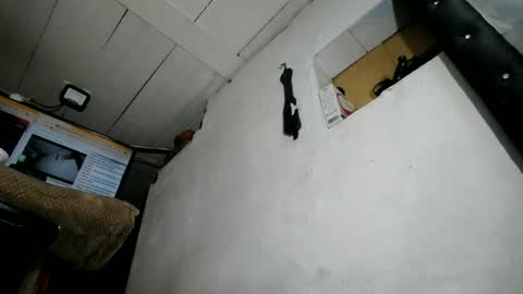 Snapshot of nattasha_foxx chatting on 23, 6, 2026 natalia online show from 23, 6, 2026