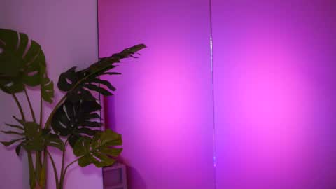 Snapshot of natydesiree chatting on 26, 2, 2025 Naty online show from 26, 2, 2025