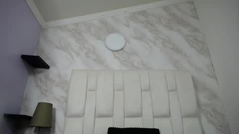 Kitten online show from 12, 2, 2025