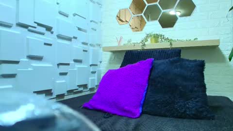 Kitten online show from 6, 3, 2025