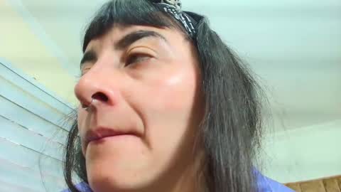 Kitten online show from 30, 9, 2025