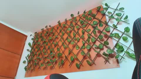 Kitten online show from 14, 4, 2026