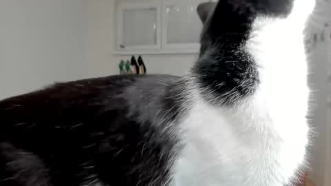 naughtysabine1 online show from 6, 2, 2025