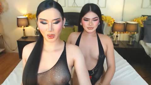 F R A N Z I A online show from 11, 11, 2025