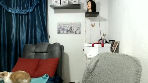 Star  online show from 21, 1, 2025