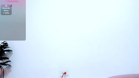 Nery online show from 17, 2, 2025