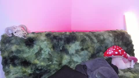 Marie    online show from 15, 11, 2025