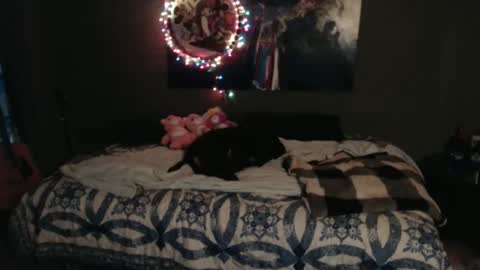 Nettie D Monroe online show from 8, 11, 2025