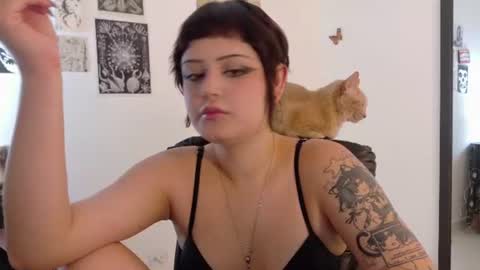 Mar online show from 3, 8, 2026
