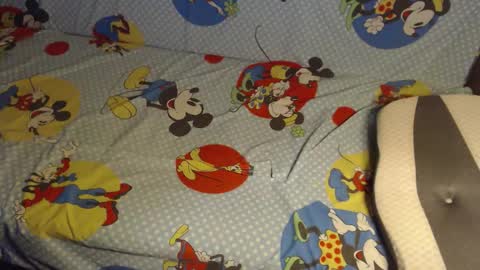 Lilly  online show from 25, 10, 2025