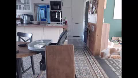 Newelixyr online show from 25, 2, 2026