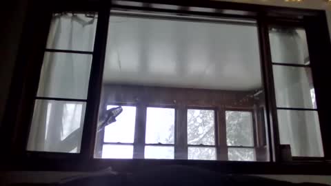 Newguy81240 online show from 23, 1, 2025