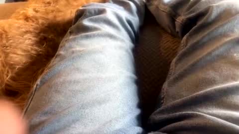 newjerseyhorny online show from 15, 12, 2024