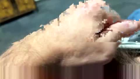 ngianop online show from 7, 2, 2025