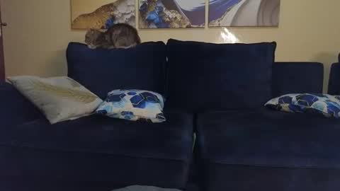 Lilly online show from 22, 2, 2025