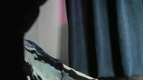 Snapshot of nicebbc7 chatting on 22, 12, 2024 Black Tarzan online show from 22, 12, 2024