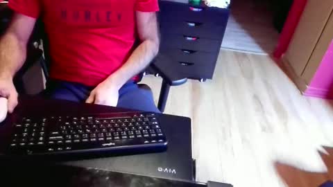 nicecck24 online show from 2, 2, 2026