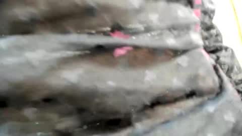 Bianca online show from 26, 10, 2025